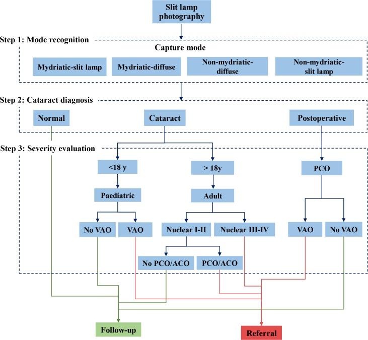https://cdn.ncbi.nlm.nih.gov/pmc/blobs/14a6/6855787/e67e1a394224/bjophthalmol-2019-314729f02.jpg