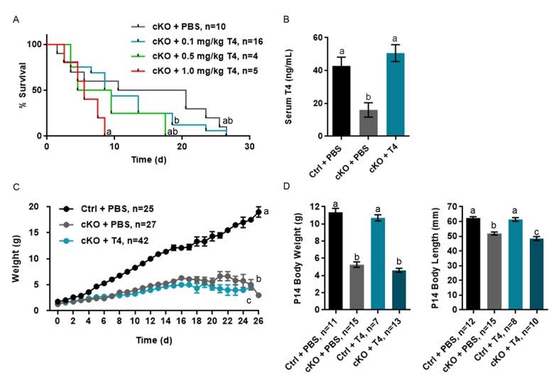 https://cdn.ncbi.nlm.nih.gov/pmc/blobs/14a7/6046231/76d6b3fccb5e/aging-10-101462-g001.jpg