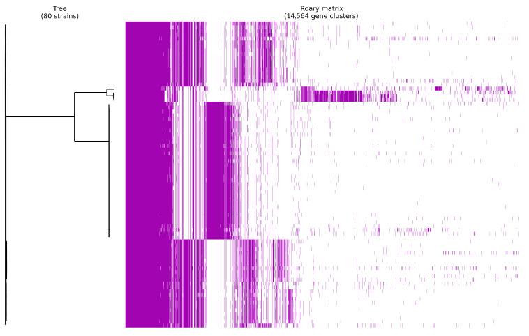 https://cdn.ncbi.nlm.nih.gov/pmc/blobs/14a9/12024244/173f523535ad/animals-15-01176-g002.jpg