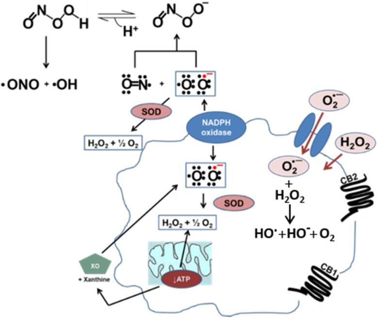 https://cdn.ncbi.nlm.nih.gov/pmc/blobs/14a9/5606639/4695c6d4b455/toxics-03-00481-g001.jpg