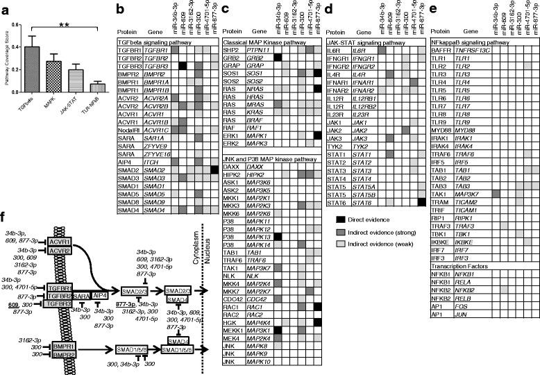 https://cdn.ncbi.nlm.nih.gov/pmc/blobs/14aa/4855899/7cfa92bd37a6/13075_2016_987_Fig4_HTML.jpg