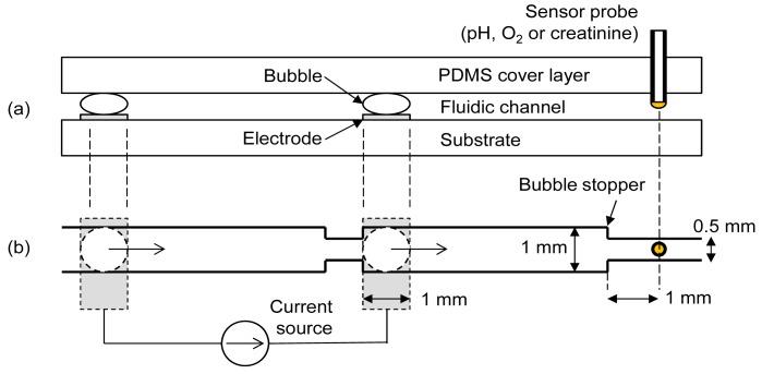 https://cdn.ncbi.nlm.nih.gov/pmc/blobs/14ad/3444085/130c3a8c5724/sensors-12-08955f1.jpg