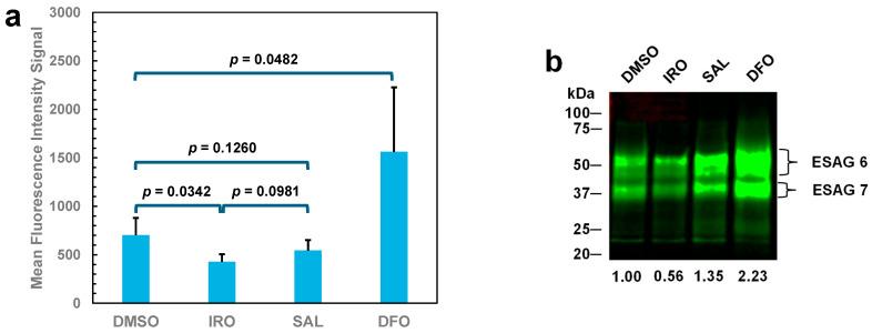 https://cdn.ncbi.nlm.nih.gov/pmc/blobs/14ae/11643196/7d27016df224/molecules-29-05597-g004.jpg