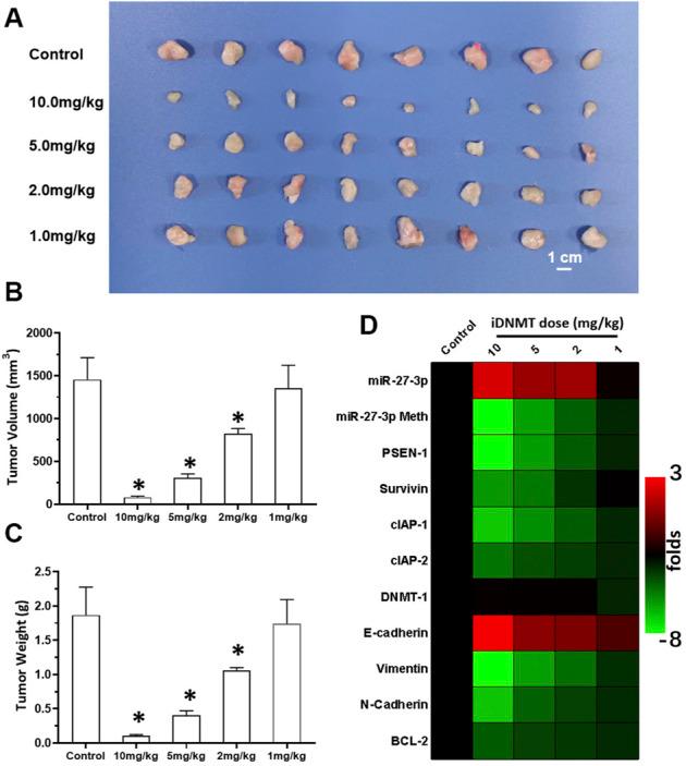 https://cdn.ncbi.nlm.nih.gov/pmc/blobs/14af/8983860/03f6b5a738f5/fphar-13-863339-g006.jpg
