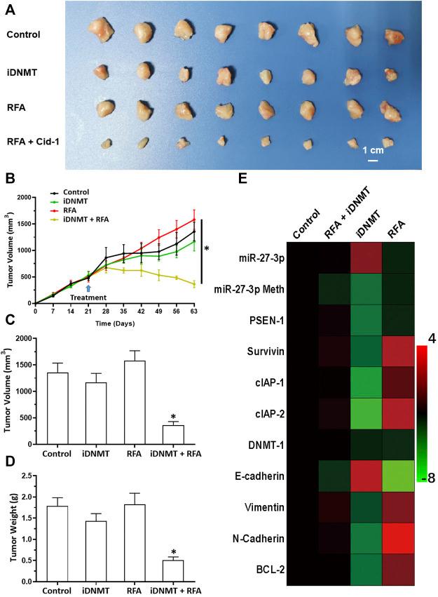 https://cdn.ncbi.nlm.nih.gov/pmc/blobs/14af/8983860/26fc39e6ac0a/fphar-13-863339-g008.jpg