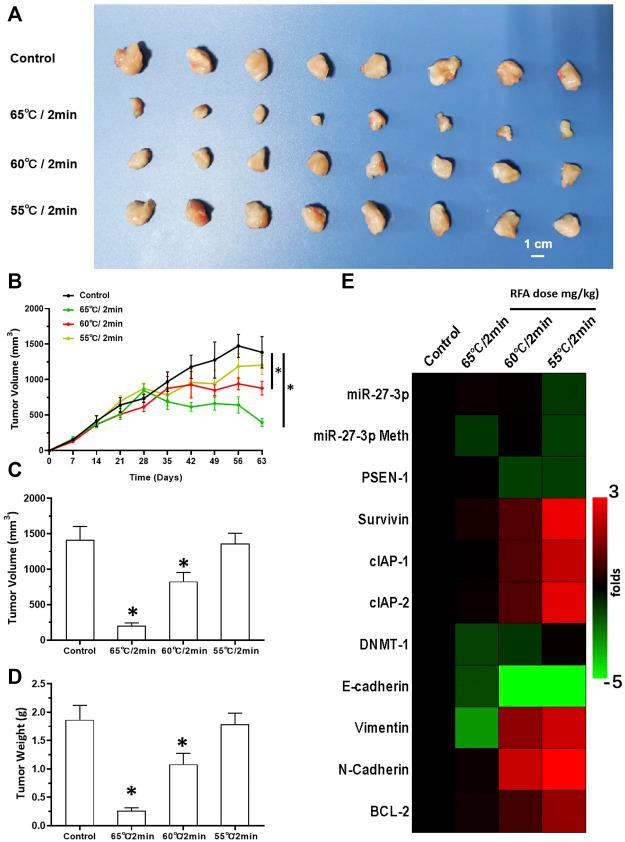 https://cdn.ncbi.nlm.nih.gov/pmc/blobs/14af/8983860/28c80c940c48/fphar-13-863339-g007.jpg