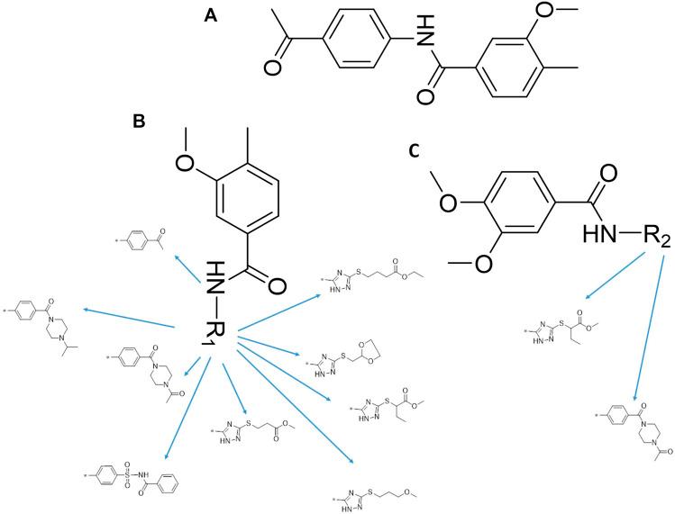 https://cdn.ncbi.nlm.nih.gov/pmc/blobs/14af/8983860/5e789cf5a5b9/fphar-13-863339-g003.jpg