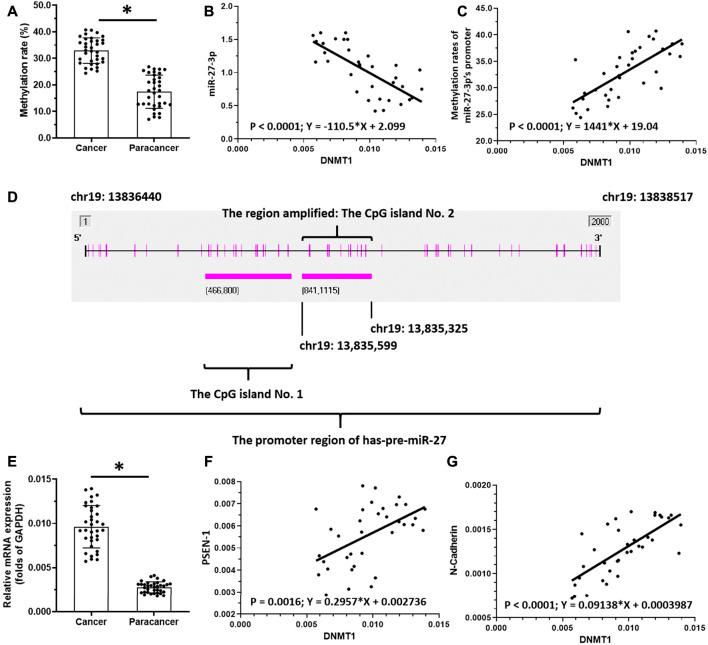https://cdn.ncbi.nlm.nih.gov/pmc/blobs/14af/8983860/635bf4ee7604/fphar-13-863339-g002.jpg