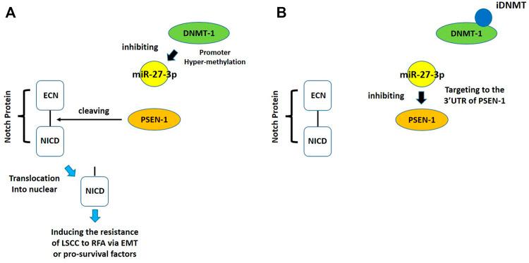 https://cdn.ncbi.nlm.nih.gov/pmc/blobs/14af/8983860/a8a177a98d47/fphar-13-863339-g009.jpg