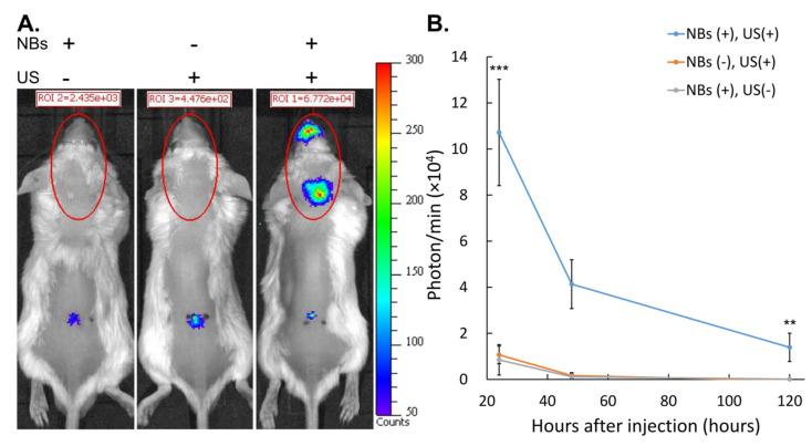 https://cdn.ncbi.nlm.nih.gov/pmc/blobs/14b0/10856598/74baa78beb57/nanomaterials-14-00285-g010.jpg