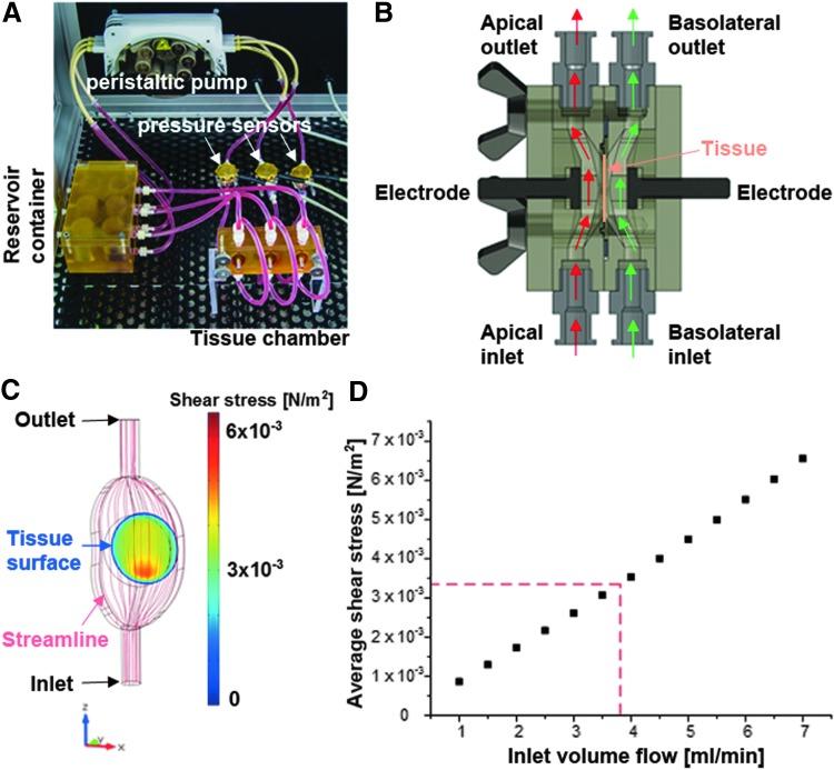 https://cdn.ncbi.nlm.nih.gov/pmc/blobs/14b4/4943469/c98377c40bff/fig-2.jpg