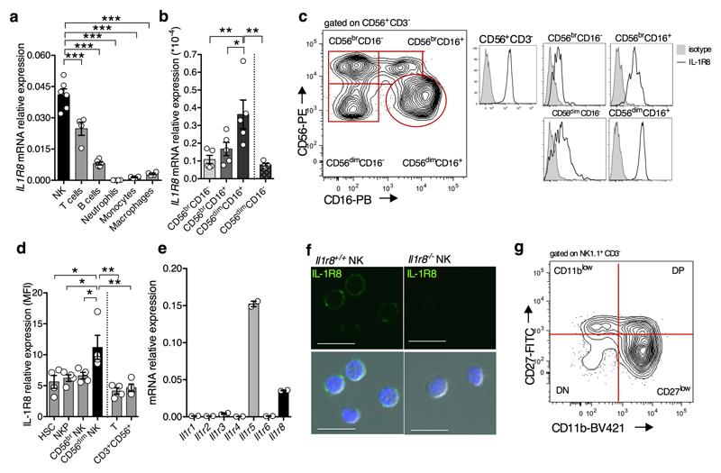 https://cdn.ncbi.nlm.nih.gov/pmc/blobs/14b4/5768243/61a178d72517/emss-74230-f005.jpg
