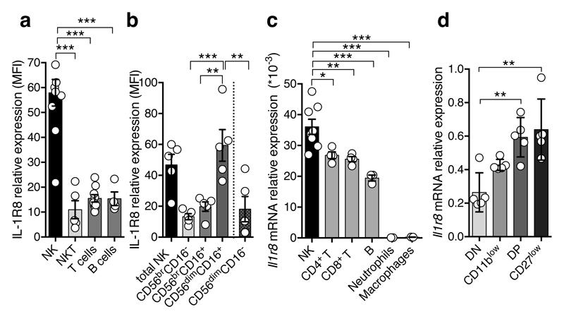https://cdn.ncbi.nlm.nih.gov/pmc/blobs/14b4/5768243/863eb4fcde5c/emss-74230-f001.jpg