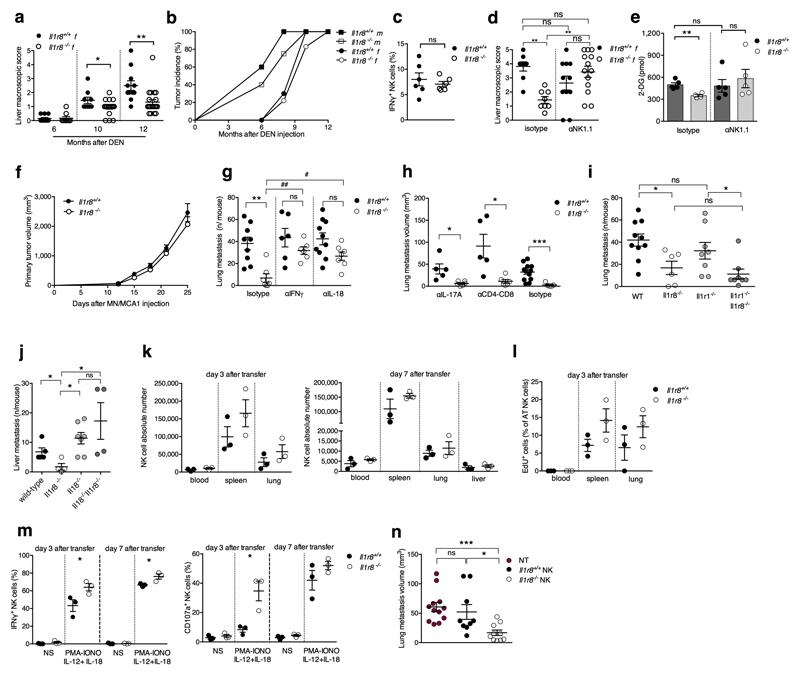 https://cdn.ncbi.nlm.nih.gov/pmc/blobs/14b4/5768243/bd8de95a9bef/emss-74230-f009.jpg