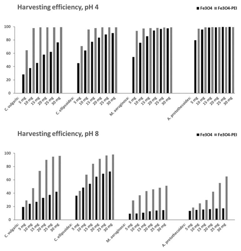 https://cdn.ncbi.nlm.nih.gov/pmc/blobs/14b4/9182367/46e636019b09/nanomaterials-12-01786-g008.jpg