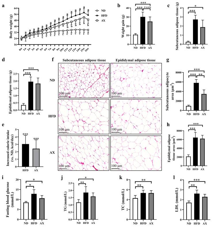 https://cdn.ncbi.nlm.nih.gov/pmc/blobs/14b5/10780320/a8d542682bc7/nutrients-16-00033-g001.jpg