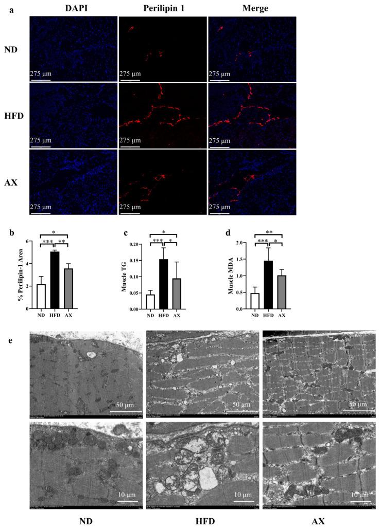 https://cdn.ncbi.nlm.nih.gov/pmc/blobs/14b5/10780320/be58abab7336/nutrients-16-00033-g003.jpg