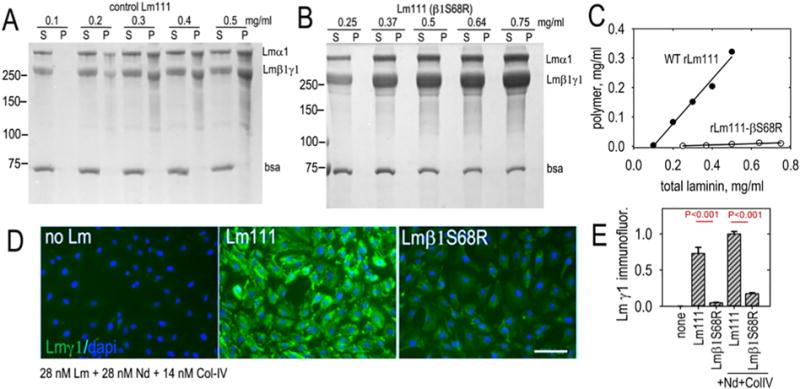 https://cdn.ncbi.nlm.nih.gov/pmc/blobs/14b5/5910262/27598f0d068f/nihms949592f2.jpg