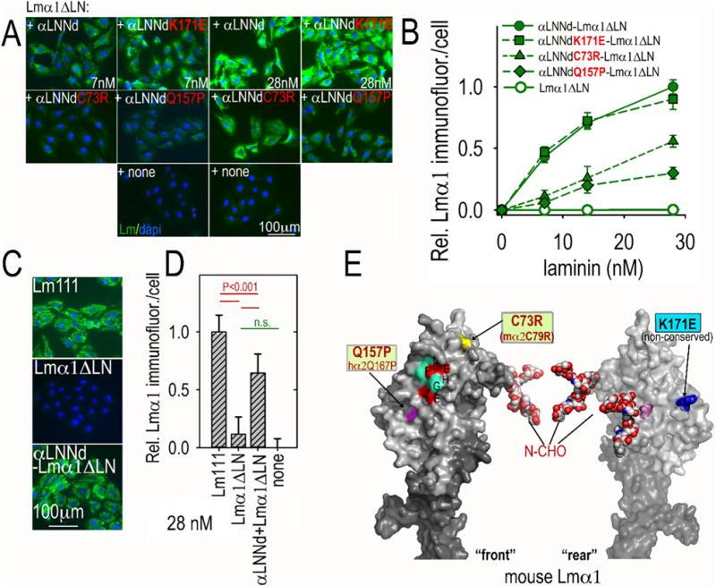 https://cdn.ncbi.nlm.nih.gov/pmc/blobs/14b5/5910262/efe6085b26da/nihms949592f6.jpg