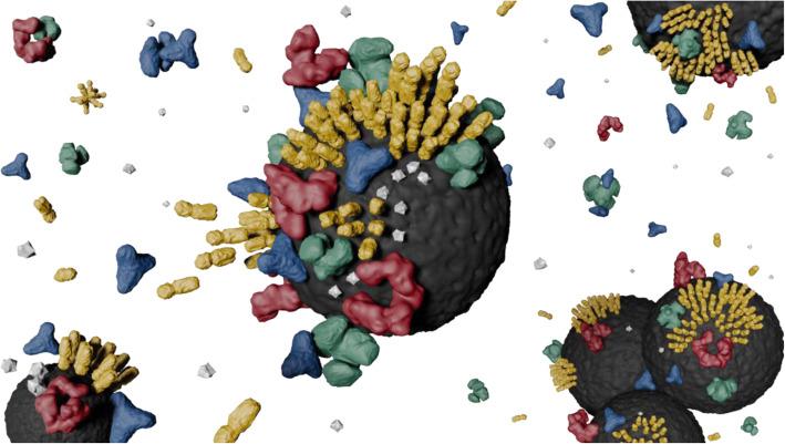 https://cdn.ncbi.nlm.nih.gov/pmc/blobs/14b5/8059211/53d3dba66582/40824_2021_212_Fig3_HTML.jpg
