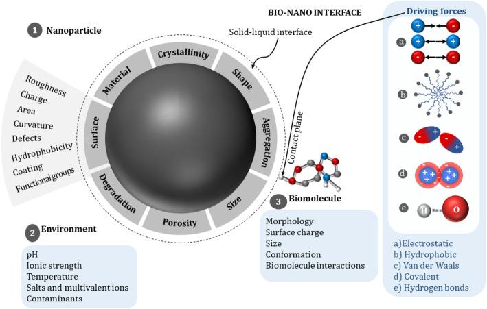 https://cdn.ncbi.nlm.nih.gov/pmc/blobs/14b5/8059211/c9ba29b8b289/40824_2021_212_Fig1_HTML.jpg
