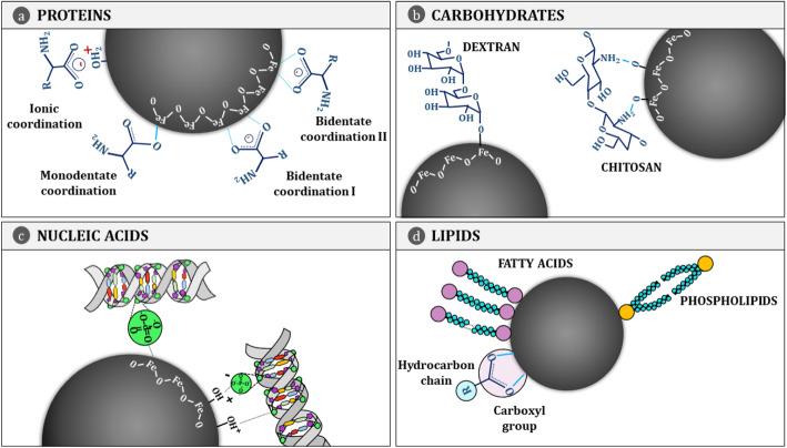 https://cdn.ncbi.nlm.nih.gov/pmc/blobs/14b5/8059211/d9b7e200c818/40824_2021_212_Fig2_HTML.jpg