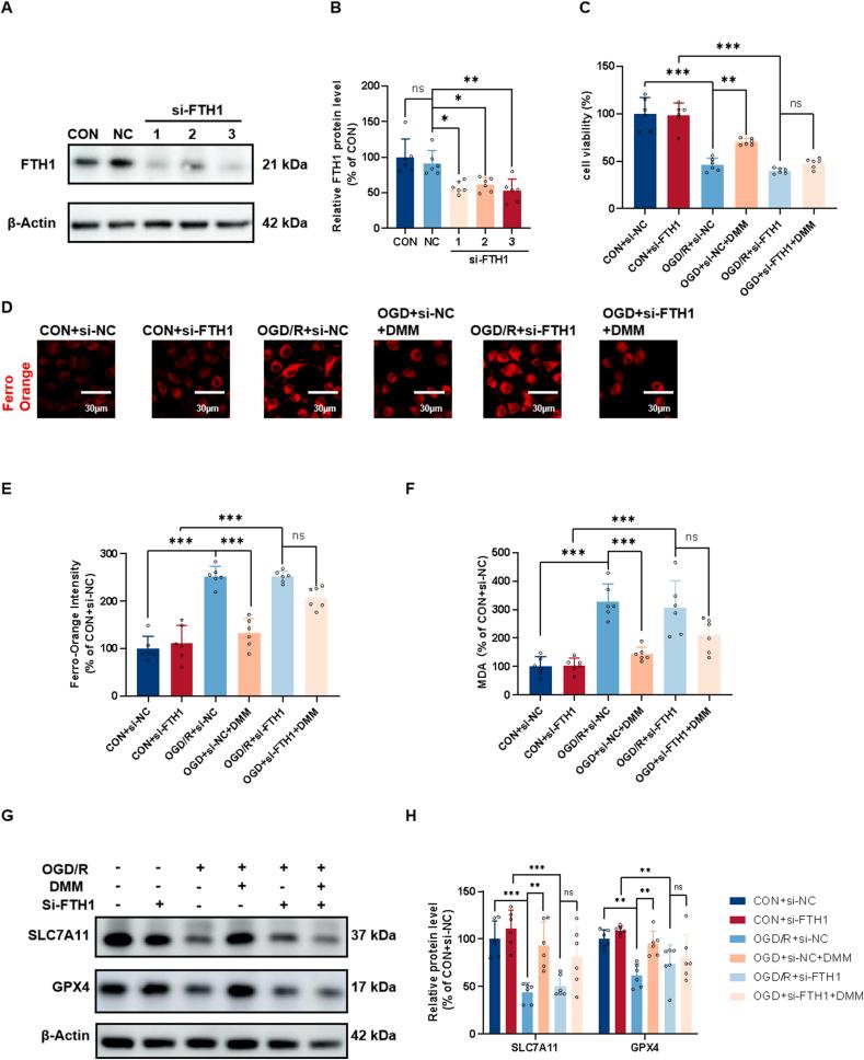 https://cdn.ncbi.nlm.nih.gov/pmc/blobs/14b8/12336833/0be6134f931b/gr11.jpg