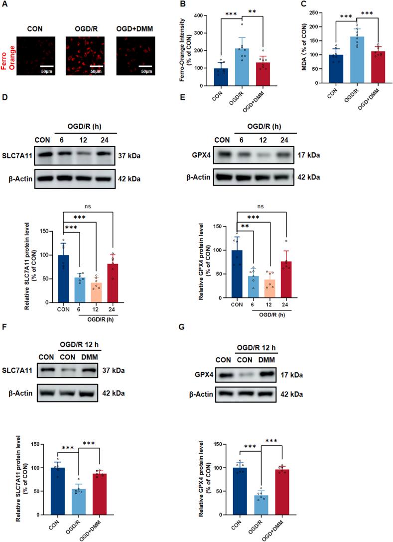 https://cdn.ncbi.nlm.nih.gov/pmc/blobs/14b8/12336833/0da28169a3ad/gr7.jpg