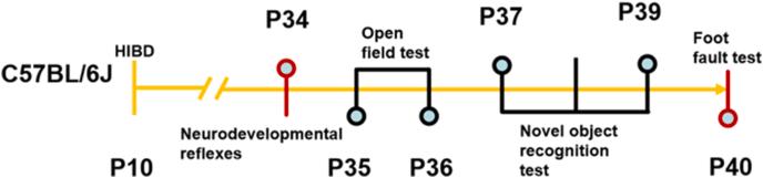 https://cdn.ncbi.nlm.nih.gov/pmc/blobs/14b8/12336833/1dda1bf3d02d/gr1.jpg