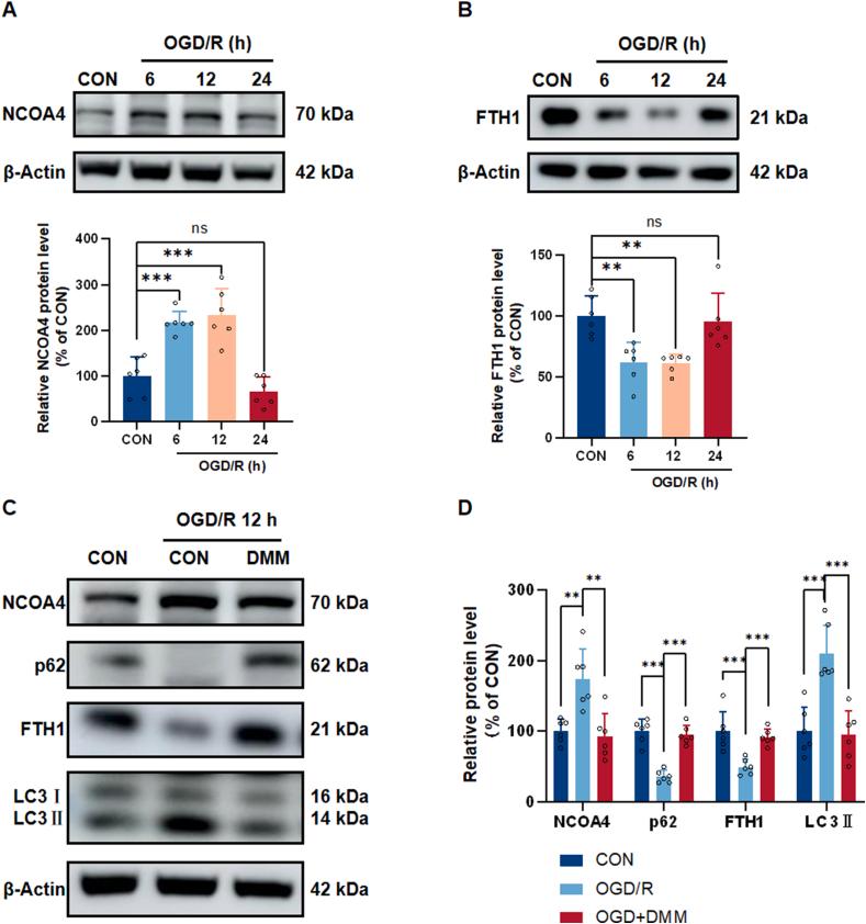https://cdn.ncbi.nlm.nih.gov/pmc/blobs/14b8/12336833/7cbacaca6af5/gr9.jpg