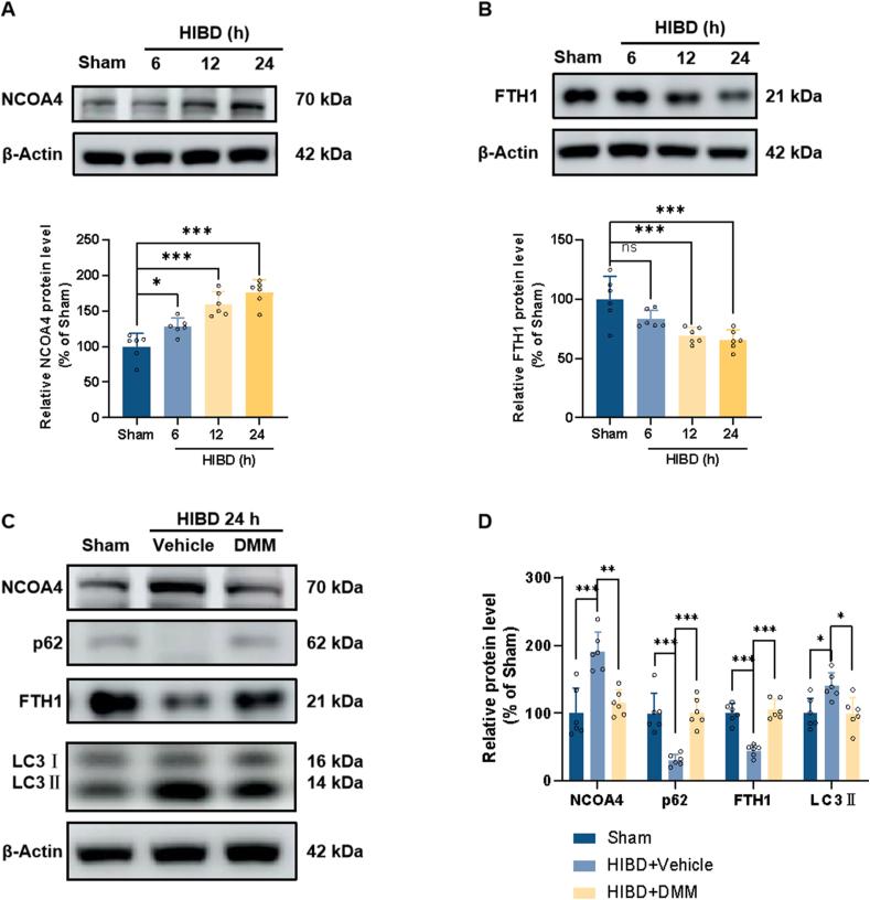 https://cdn.ncbi.nlm.nih.gov/pmc/blobs/14b8/12336833/84493255b39b/gr8.jpg