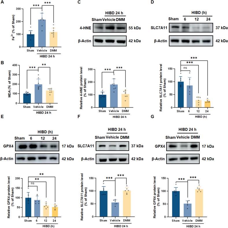 https://cdn.ncbi.nlm.nih.gov/pmc/blobs/14b8/12336833/eabe3d9288af/gr6.jpg