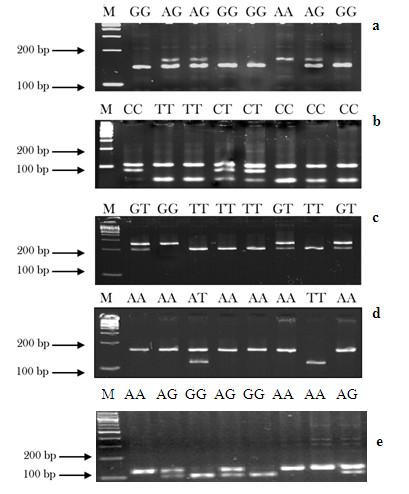 https://cdn.ncbi.nlm.nih.gov/pmc/blobs/14c0/3220654/02a34469fef5/1471-2407-11-447-1.jpg