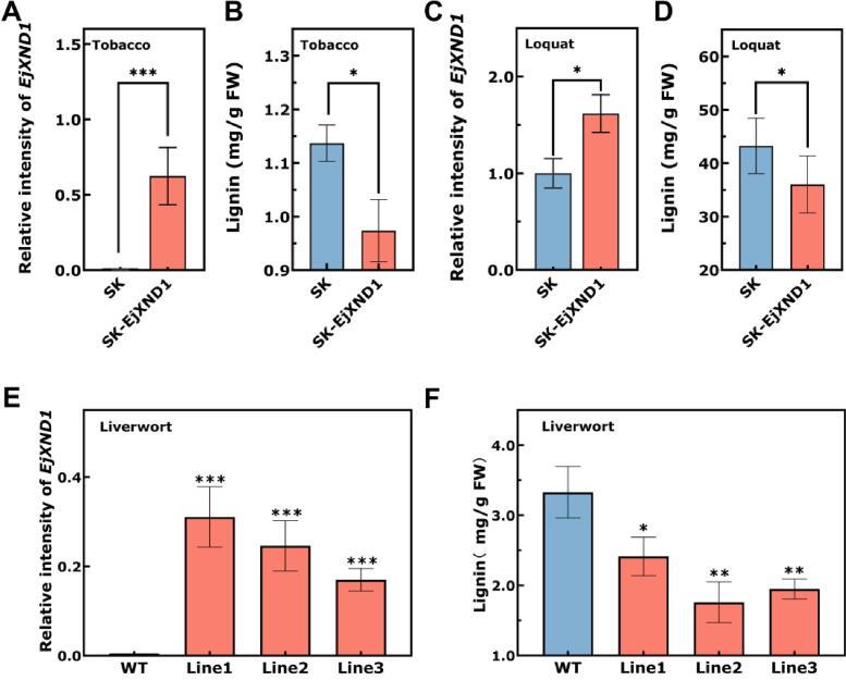 https://cdn.ncbi.nlm.nih.gov/pmc/blobs/14c1/12225896/7d5d86d60346/gr3.jpg