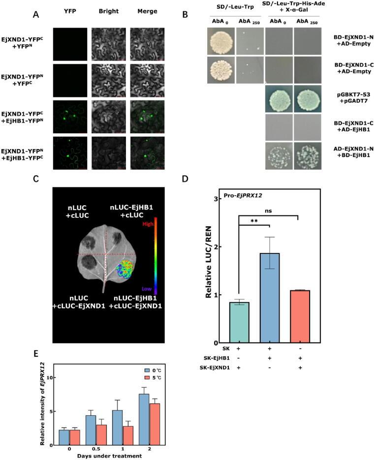 https://cdn.ncbi.nlm.nih.gov/pmc/blobs/14c1/12225896/8aae067e1c57/gr5.jpg