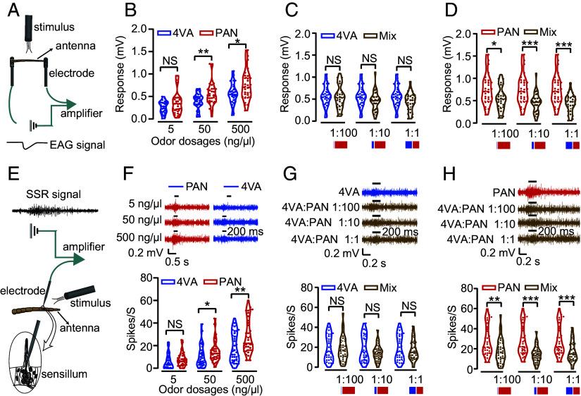 https://cdn.ncbi.nlm.nih.gov/pmc/blobs/14c2/12377763/35a6c97148c0/pnas.2501490122fig03.jpg