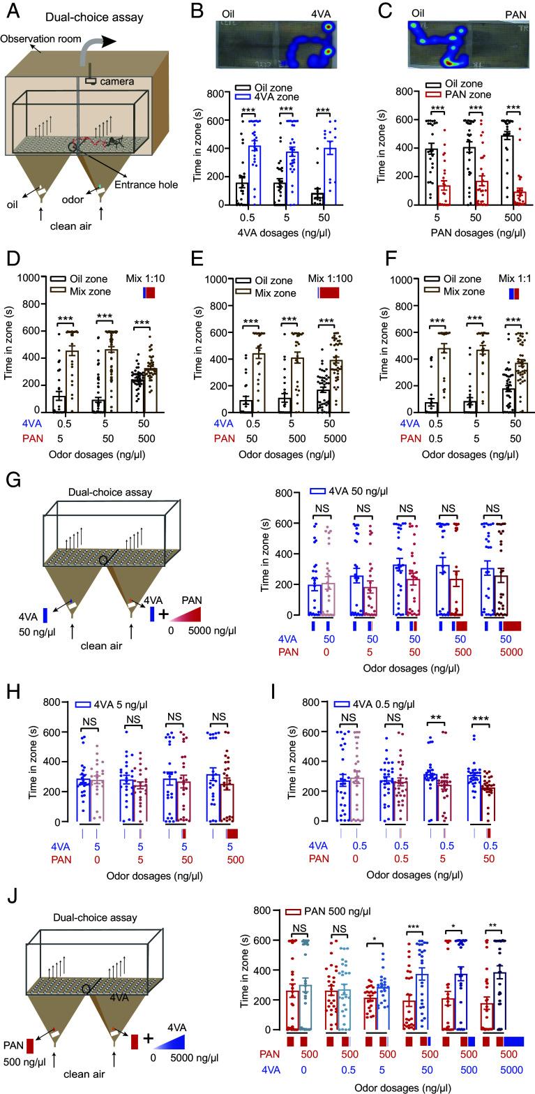 https://cdn.ncbi.nlm.nih.gov/pmc/blobs/14c2/12377763/40430fc3eefb/pnas.2501490122fig02.jpg
