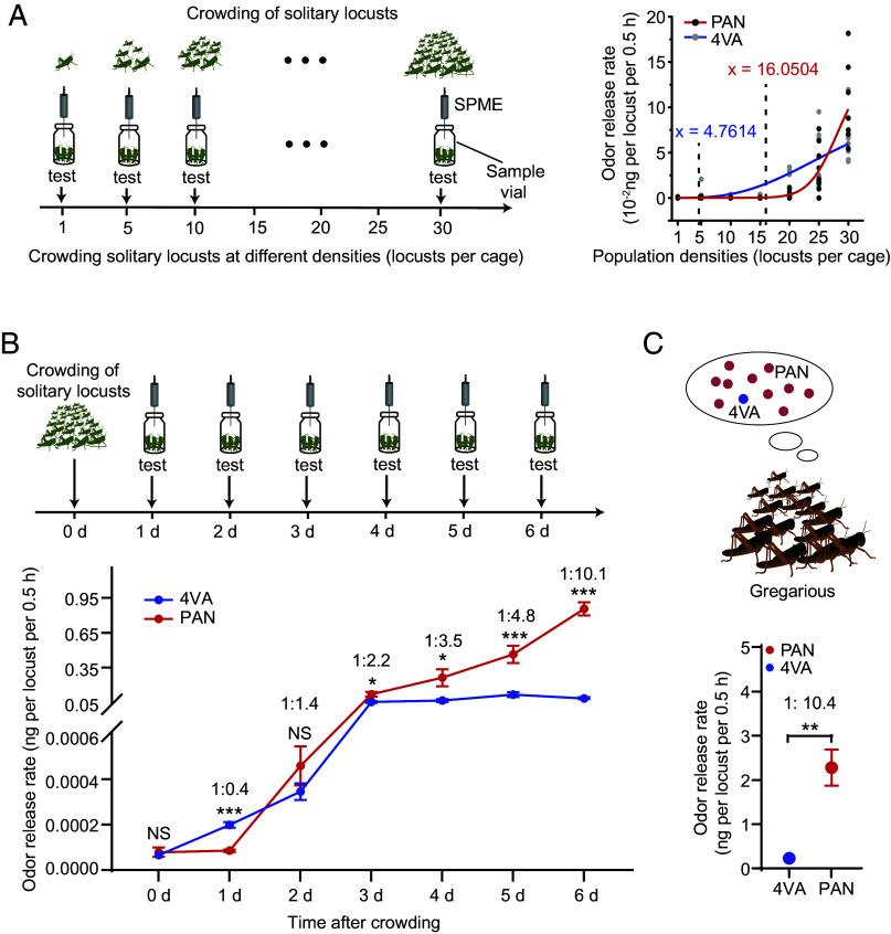 https://cdn.ncbi.nlm.nih.gov/pmc/blobs/14c2/12377763/cdc852536d84/pnas.2501490122fig01.jpg