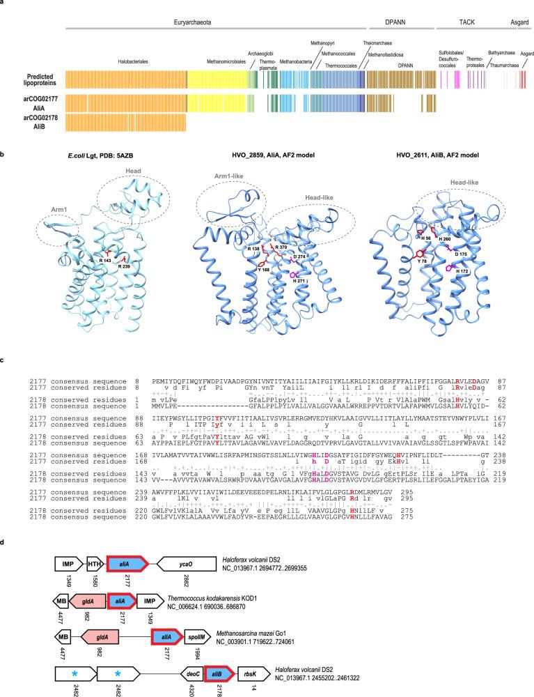 https://cdn.ncbi.nlm.nih.gov/pmc/blobs/14c2/12462473/e07991746303/41467_2025_63625_Fig2_HTML.jpg