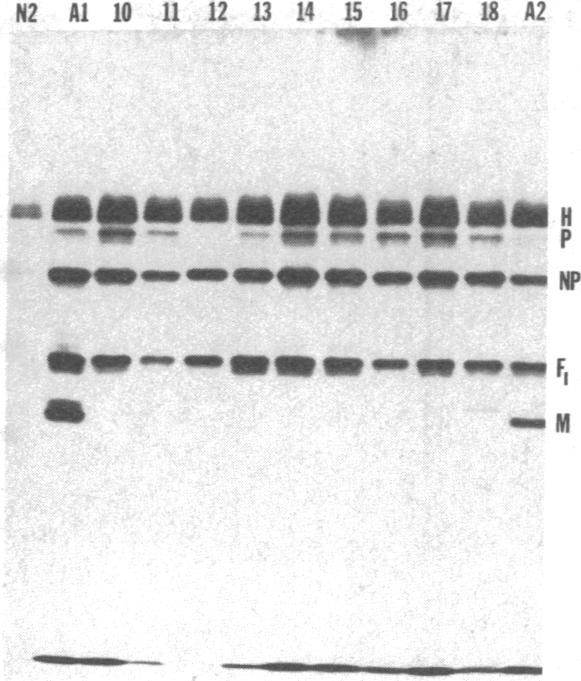 https://cdn.ncbi.nlm.nih.gov/pmc/blobs/14c3/383531/b1b0326a58f5/pnas00004-0531-a.jpg