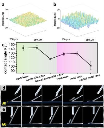 https://cdn.ncbi.nlm.nih.gov/pmc/blobs/14c5/8252771/10301abad37c/ANIE-60-13929-g005.jpg
