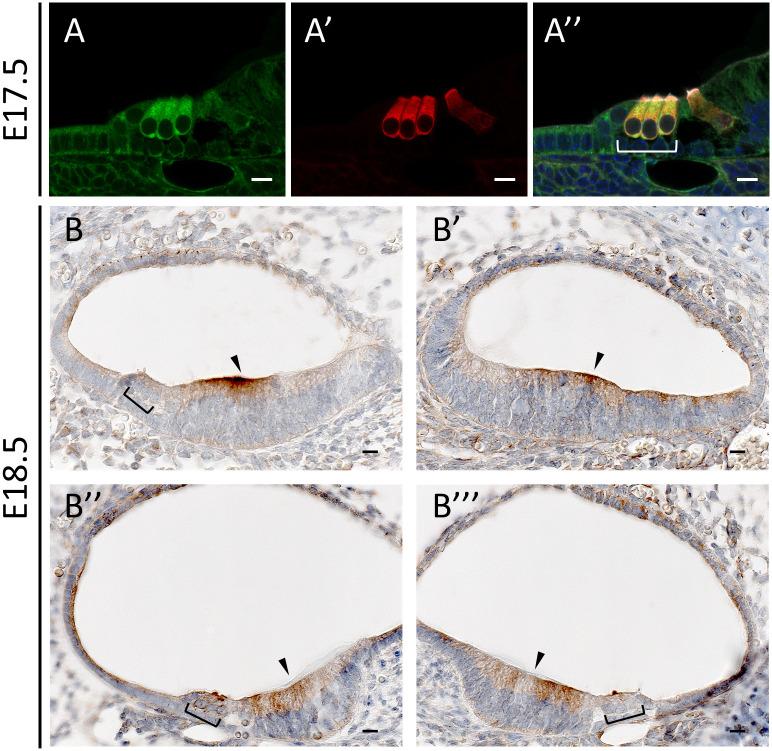 https://cdn.ncbi.nlm.nih.gov/pmc/blobs/14ca/9870134/0b2d5741a71b/pone.0273586.g002.jpg
