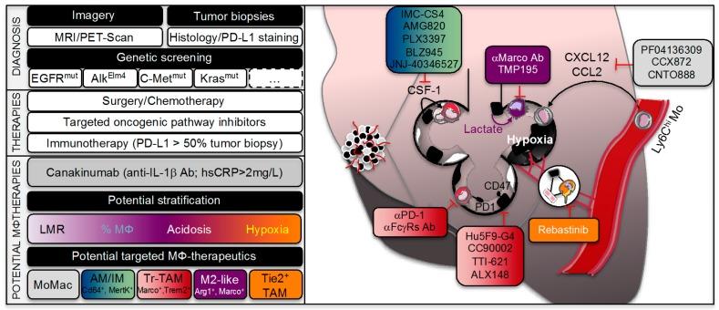 https://cdn.ncbi.nlm.nih.gov/pmc/blobs/14d0/6468621/6e4e2061f276/cancers-11-00298-g003.jpg