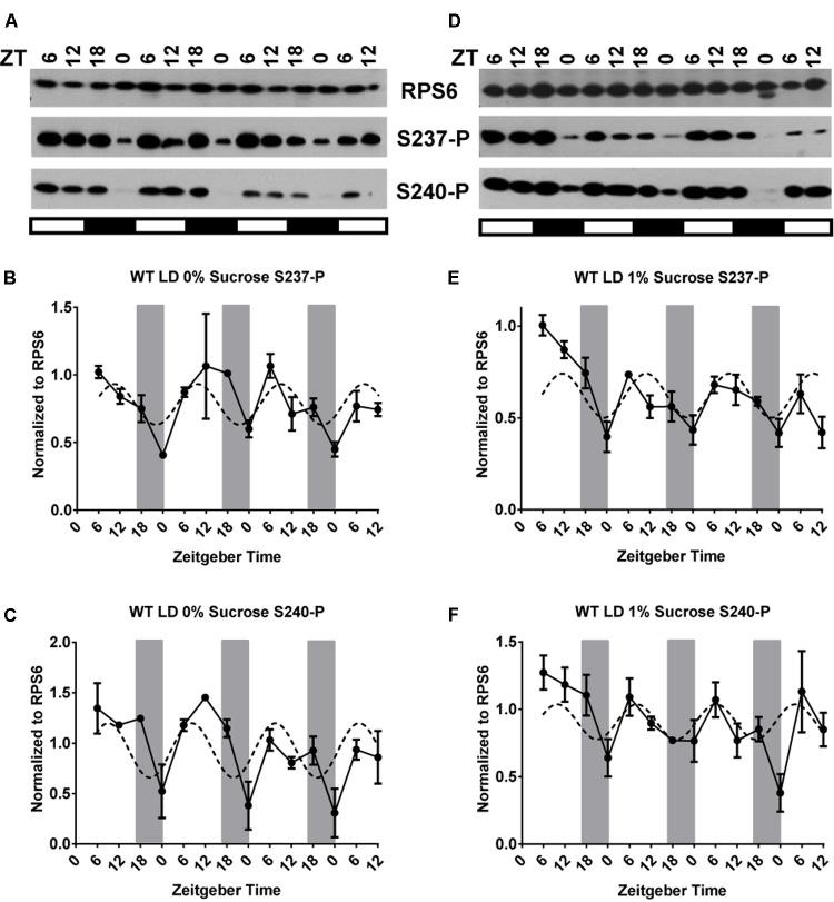 https://cdn.ncbi.nlm.nih.gov/pmc/blobs/14d1/5780430/14f550015b01/fpls-08-02210-g001.jpg