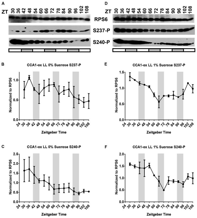 https://cdn.ncbi.nlm.nih.gov/pmc/blobs/14d1/5780430/c174662cd287/fpls-08-02210-g004.jpg