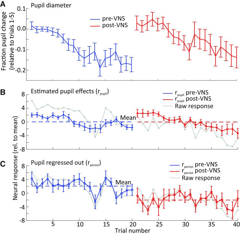 https://cdn.ncbi.nlm.nih.gov/pmc/blobs/14d1/8240839/0f37205ea07d/ENEURO.0522-20.2021_f006.jpg