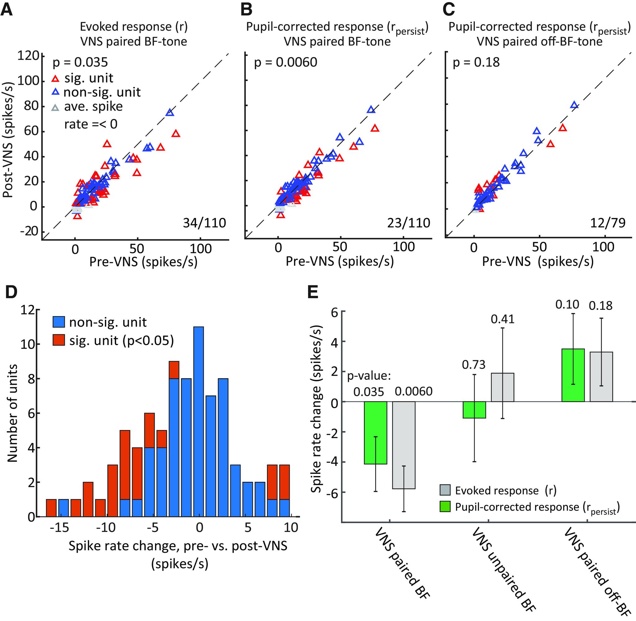 https://cdn.ncbi.nlm.nih.gov/pmc/blobs/14d1/8240839/3b200fc3af12/ENEURO.0522-20.2021_f007.jpg