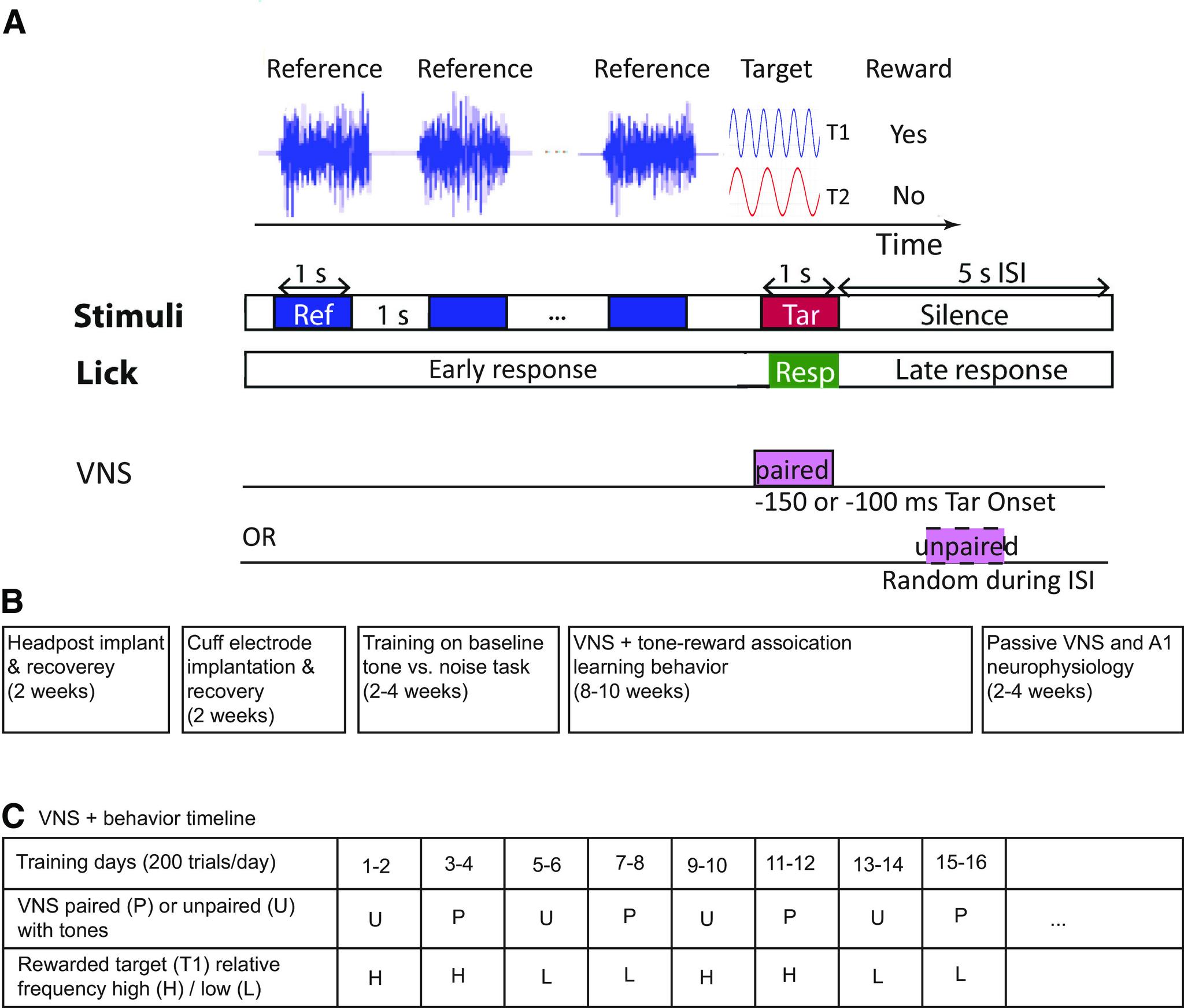 https://cdn.ncbi.nlm.nih.gov/pmc/blobs/14d1/8240839/e27ad952e397/ENEURO.0522-20.2021_f001.jpg