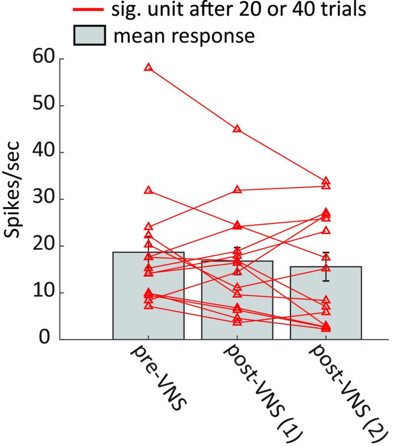 https://cdn.ncbi.nlm.nih.gov/pmc/blobs/14d1/8240839/ffe16777fd64/ENEURO.0522-20.2021_f008.jpg