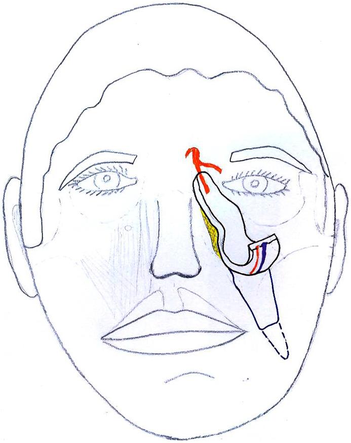 https://cdn.ncbi.nlm.nih.gov/pmc/blobs/14d3/5134091/098e991981a9/gr4.jpg
